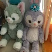 そらきらの画像