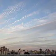 ハリネズ