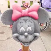 チロちゃんの画像