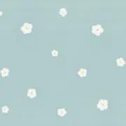 Hanaの画像