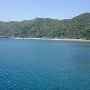 SwKwRwTの画像