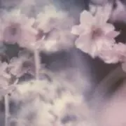 †hanの画像