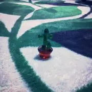 みんちー