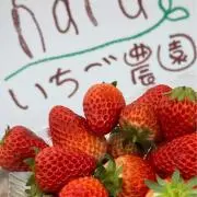 【おまとめ対応即購入ok】Rilyの画像