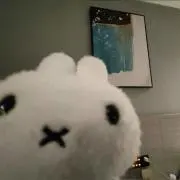 52うさぎたんの画像