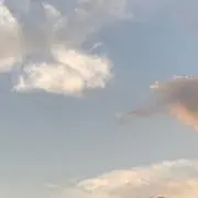 千の画像