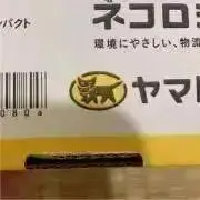 ネコの画像