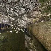 サクラダファミリアの画像