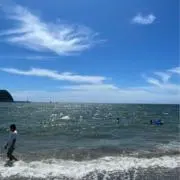 ポックルの画像