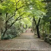 yumaの画像