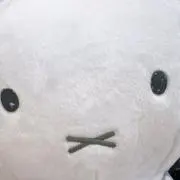 りゃーまの画像