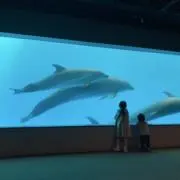 なつきの画像