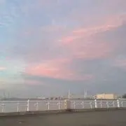 こあらの画像