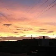 ひゆりんの画像