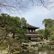 すーの画像