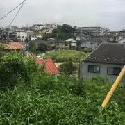 ぱーね
