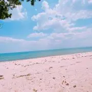 rara