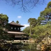 トゥーケの画像