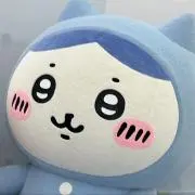 即購入⭕️の画像