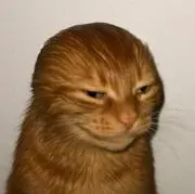 neongsisの画像