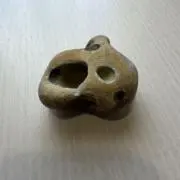 かえでの画像