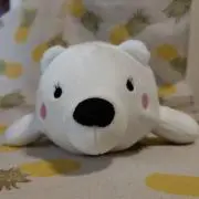 サニーレタスの画像