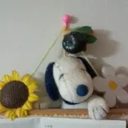 ♩chicaco♩