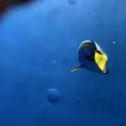 断捨離中⭐︎即購入OK⭐︎の画像