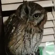 いさちゃん