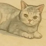 ツムギの画像