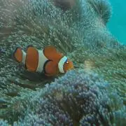 アリアリ★プロフ確認必須★の画像