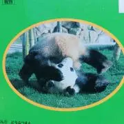 あんぱん