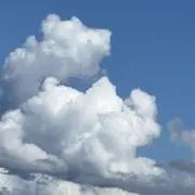 あゆゆの画像