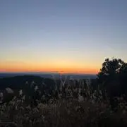 tamaの画像
