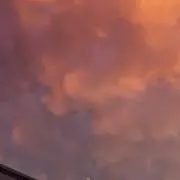 RYの画像
