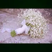 りんごの画像