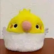 ピポーの画像