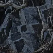 不破杯の画像