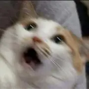 ♡の画像