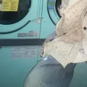 ろくの画像