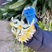 mi
