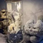 piiiiityan