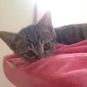 ゆう