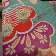 パセリの画像