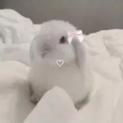 もずくの画像