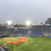マダックスの画像