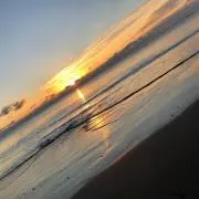 カルボナーラの画像