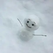 ジンの画像