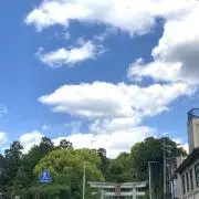 さちの画像