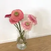 ゆっぴ**の画像